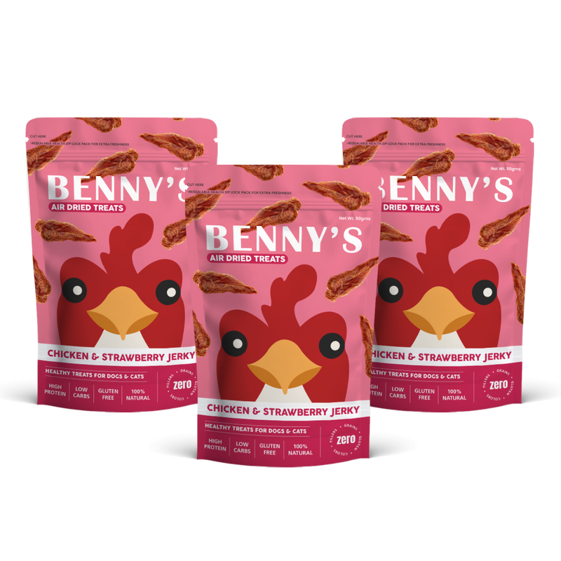 Chicken & Strawberry Jerky - 50g