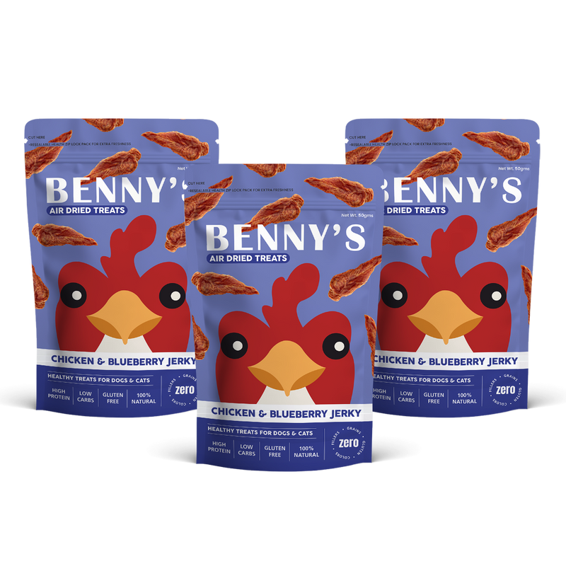 Chicken & Blueberry Jerky - 50g